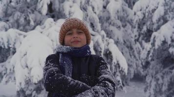 pojke i vinterkläder tittar på kameran och ler. söt pojke i snöiga kläder tittar på kameran och korsar armarna. video