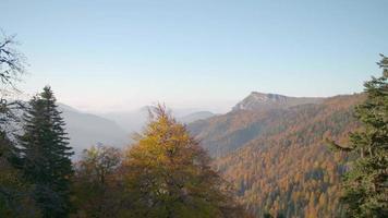 montañas nubladas y bosque en otoño. maravillosa vista de nubes y árboles coloridos en otoño. video