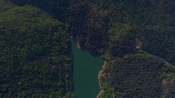 Lake among dense forests, aerial view. Located right in the middle of lush nature, the lake looks great. video