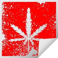 quirky distressed square peeling sticker symbol marijuana vector