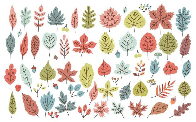 Hand drawn set of Autumn Leaves Elements icon Objects, Vector illustration set with colorful oaks, hickories, maples, aspen, birch,beech and dogwood leavesa