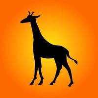 Giraffe with silhouette design.  Vector illustration.