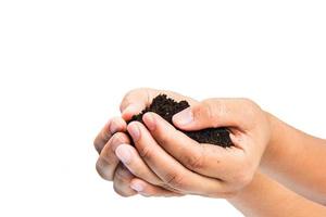 soil in hands , Hands dirty with clay black wheat in hands isolate background  Clipping path photo