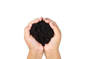 soil in hands , Hands dirty with clay black wheat in hands isolate background  Clipping path photo