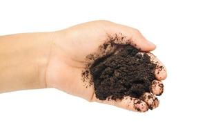 soil in hands , Hands dirty with clay black wheat in hands isolate background  Clipping path photo