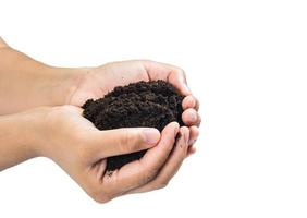 soil in hands , Hands dirty with clay black wheat in hands isolate background  Clipping path photo