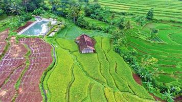 hermosa vista aérea- turismo agrícola de montaña, en el oeste de java-indonesia foto