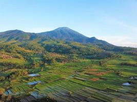 hermosa vista aérea- turismo agrícola de montaña, en el oeste de java-indonesia foto