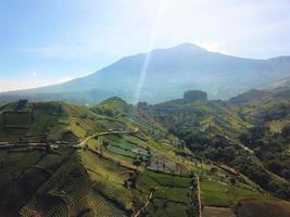 hermosa vista aérea-turismo agrícola de montaña, en el oeste de java-indonesia foto