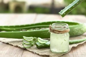 aloe vera medicina herbal muy útil para el tratamiento de la piel y uso en spa para el cuidado de la piel. hierba en la naturaleza foto