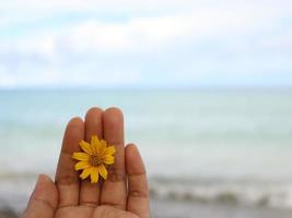 Hands and flowers photo