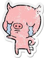 distressed sticker of a cartoon pig crying vector