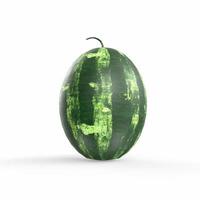 watermelon isolated on white background photo