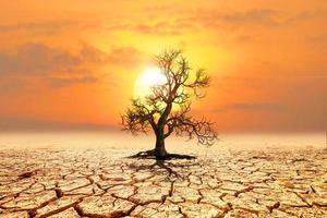 concept of global warming and climate environment change photo