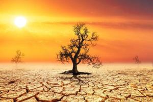 concepto de calentamiento global y cambio climático foto