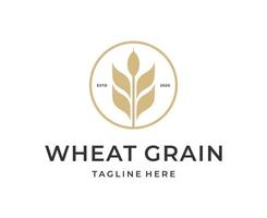 wheat grass grain logo vector symbol icon design template