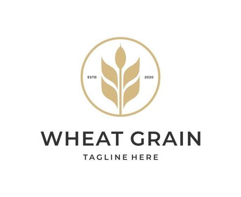 wheat grass grain logo vector symbol icon design template