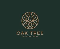 oak Tree vector icon. Nature trees vector illustration logo design