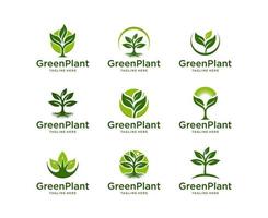 Set of Green Leaf Logo design Vector. green plant logo, green leaf seedling, growing plant vector