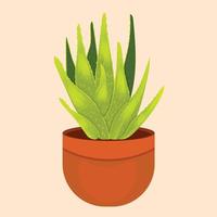 vector aloe Vera with fresh drops of water in brown pot.