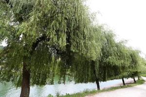 el río ljubljanica atraviesa la capital de eslovenia, la ciudad de ljubljana. foto