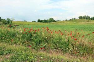 Natural landscape in northern Israel photo