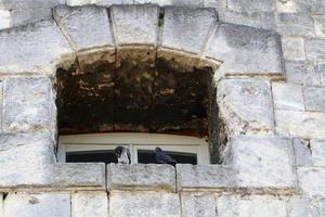 pequeña ventana en la gran ciudad foto