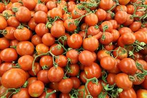 Fresh vegetables are sold at a bazaar in Israel photo