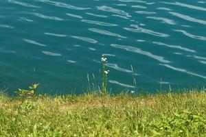 Beautiful shores of Lake Bled in Slovenia photo