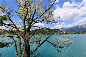 hermosas orillas del lago bled en eslovenia foto