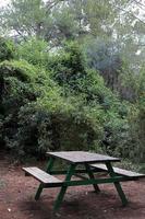 Bench for rest in a city park on the shores of the Mediterranean Sea. photo