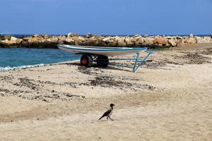 Boat on the Mediterranean coast in northern Israel photo