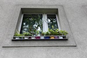 pequeña ventana en la gran ciudad foto