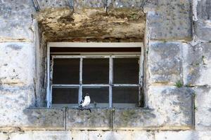 Small window in the big city photo