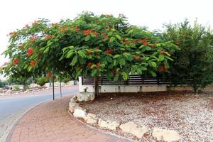 Landscape in a small town in northern Israel photo