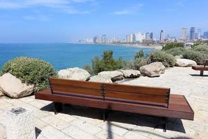 Bench for rest in a city park on the Mediterranean coast in northern Israel photo