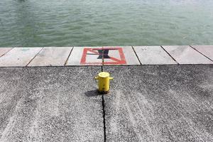 Full-flowing Danube in the Austrian capital Vienna photo