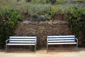 banco para descansar en un parque de la ciudad en la costa mediterránea en el norte de israel foto