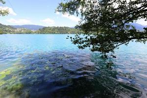 Beautiful shores of Lake Bled in Slovenia photo