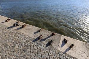 zapatos - un monumento a las víctimas del holocausto a orillas del danubio en budapest foto