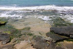 rocky shore of the Mediterranean Sea in northern Israel photo