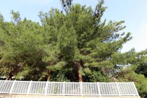 Fence in a city park on the Mediterranean Sea in Israel photo