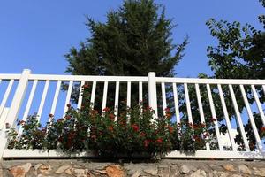 Fence in a city park on the Mediterranean Sea in Israel photo