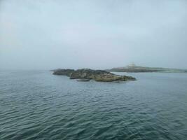 bald eagle on island with rocks on shore on coast of Maine photo