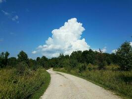 camino o sendero con pastos y árboles y nubes grandes foto