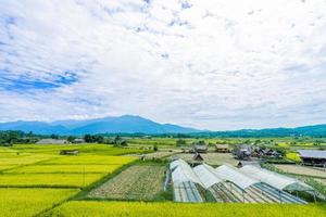 hermoso paisaje de campo de arroz con casa local y la montaña al fondo foto