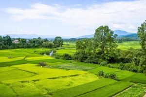 Beautiful scenic of rice field with local house and the mountain in the background photo