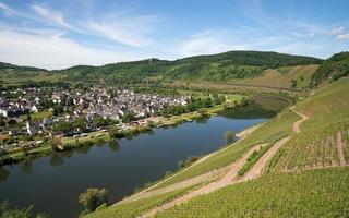 Puenderich, Moselle, Germany photo