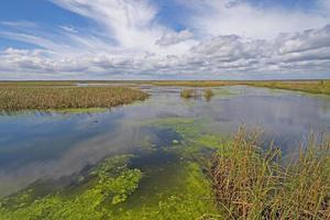 Panoramic View of a Remote Wetland photo