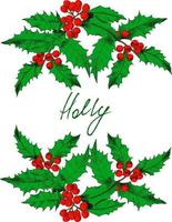 Holiday's postcard template with hand-drawn, colored holly branches and writing space in the middle. Vector illustration.